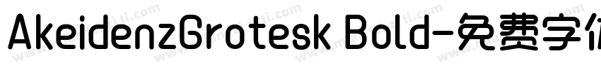 AkeidenzGrotesk Bold字体转换